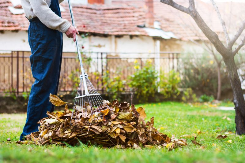 Leaf and Debris Removal