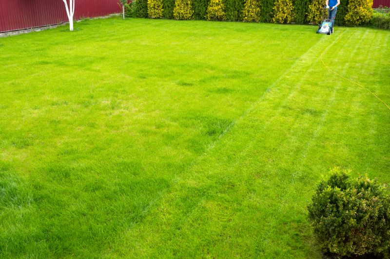 Lawn After Fall Care