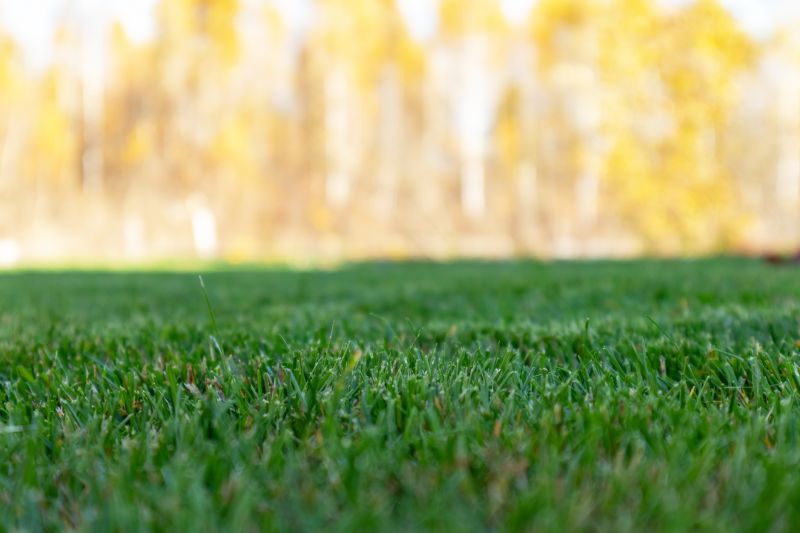 Products For Fall Lawn Cares in use