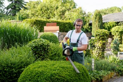 Tree and Shrub Services