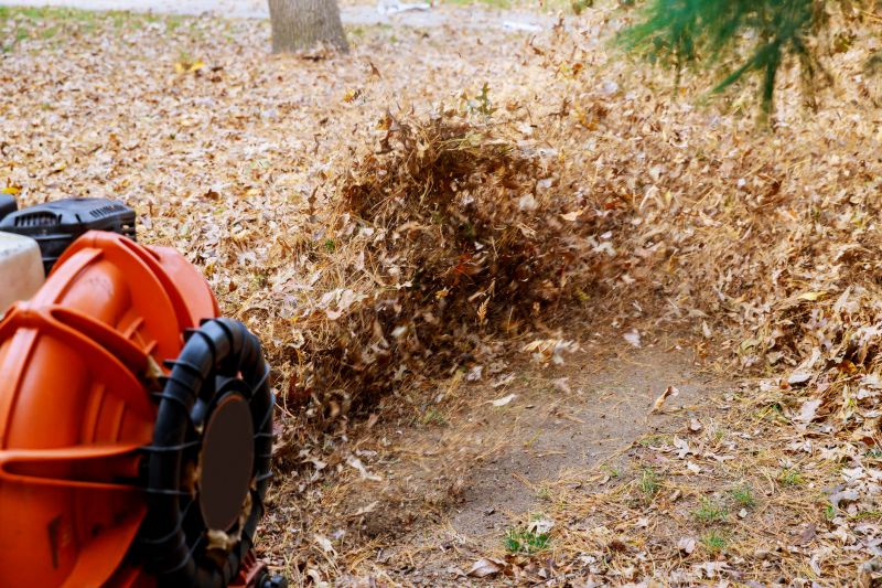 Strengthens grass root system